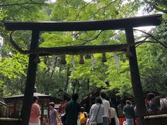 -野宫神社
