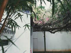 -深圳国际园林花卉博览园