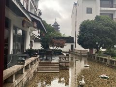 -苏州吴宫泛太平洋酒店