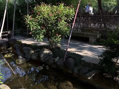 -大自然(鲁家村店)