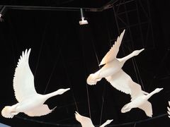 -中国湿地博物馆