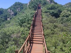 -大岭沟猕猴桃谷风景区