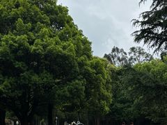-昆明市金殿名胜区