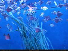 -沈阳海洋探索中心