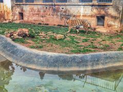 -昆明动物园