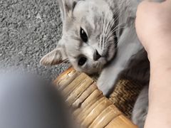 -猫岛主趣味餐厅(鼓浪屿店)