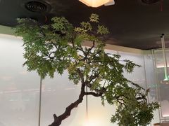 -绿茶餐厅(广州天河城店)