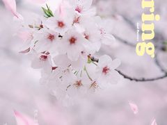 -上海辰山植物园
