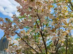 -长白岛森林公园