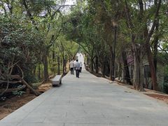 -红花山公园