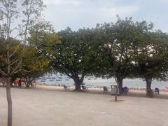 -抚仙湖禄充风景区