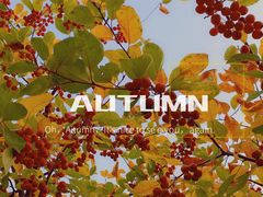 -兰陵国家农业公园