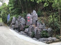 -大屏嶂森林公园