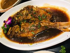 红烧石斑鱼-梁溪河畔·吉府花园(南长街南下塘店)