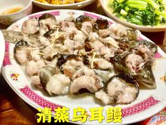 -蛇口市场