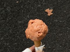 -红楼HONGLOU Gelato(淮海中路店)