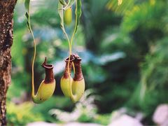 -南通洲际绿博园