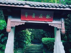 -杭州半山国家森林公园