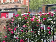 -大关公园
