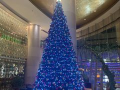 -厦门喜来登酒店