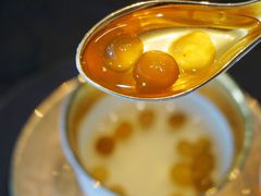 葛仙米炖雪莲子-许家菜.艺创菜(仁和新城店)