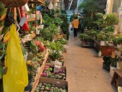 -双季花艺园艺市场(浦东店)