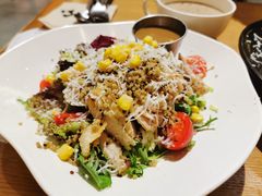 印加藜麦鸡肉沙拉-HELLO 27 意面·沙拉·帕尼尼