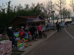 -丁香湖公园