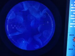 -厦门海底世界