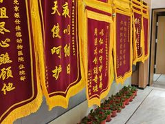 -北京派仕佳德动物医院·超导核磁·CT·神经科·骨科·内外科·急重症管理中心