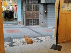 -澳门长洲糯米糍(柯打苏沙街店)