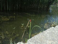 -前关湿地公园