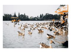 -艾溪湖湿地公园