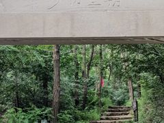 -青龙山景区