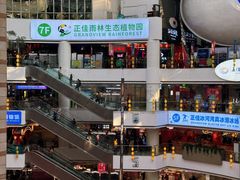 -正佳雨林生态植物园