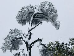 -三清山希尔顿度假酒店