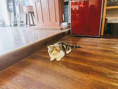 -参差咖啡(水果湖公园店)