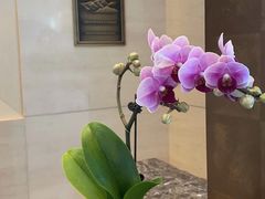 -北京丽晶酒店