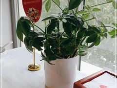 -大鸭梨烤鸭(枣园店)