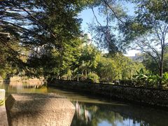 -晓港公园
