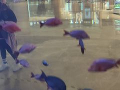 -SFC上影影城(新世界店)
