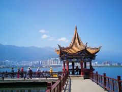 -洱海月湿地公园