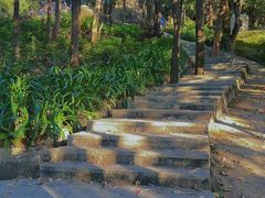 -火炉山森林公园