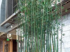 -上海柏悦酒店·世纪100牛排馆