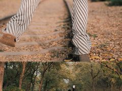 -永定河休闲森林公园