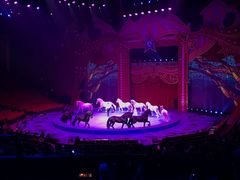 -珠海横琴长隆《卡卡虎奇遇记》