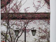 -乌山风景区
