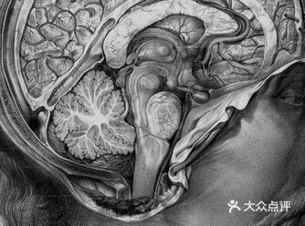 基于最近外食少，且堂食探店不多