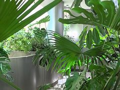 -枕水江南(铁西万象汇店)