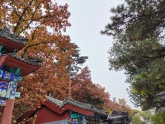 -红螺寺